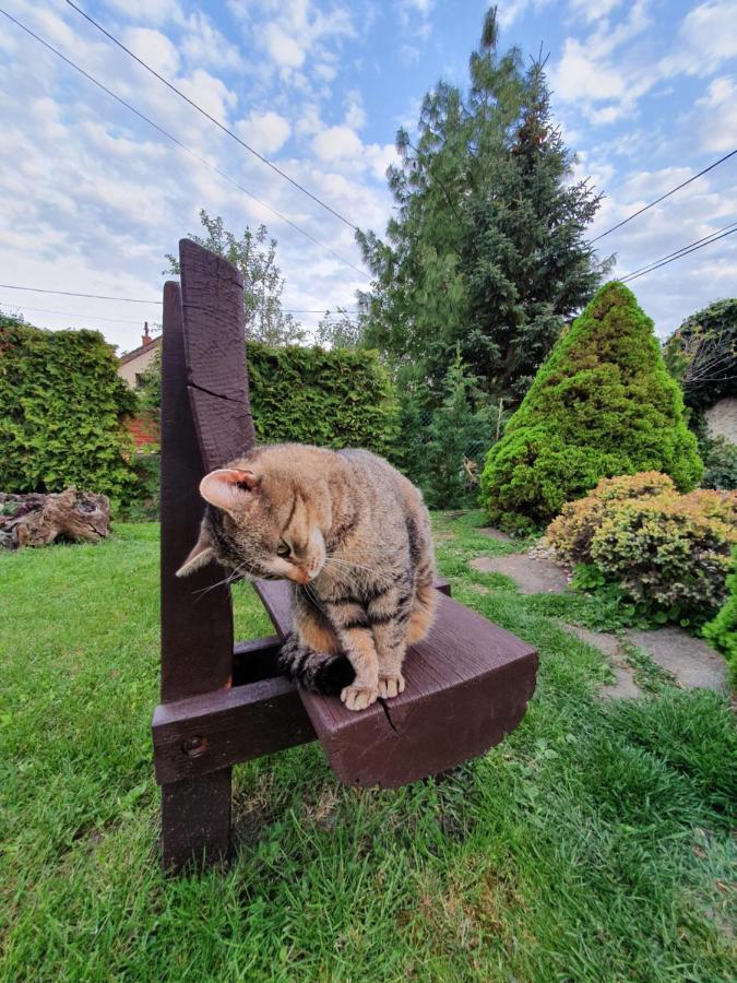 Ilike Home バラトンフレド エクステリア 写真